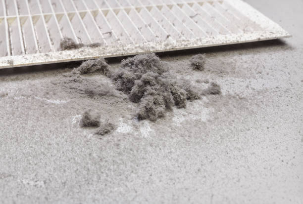 Best HVAC Air Duct Cleaning  in Wilson, PA